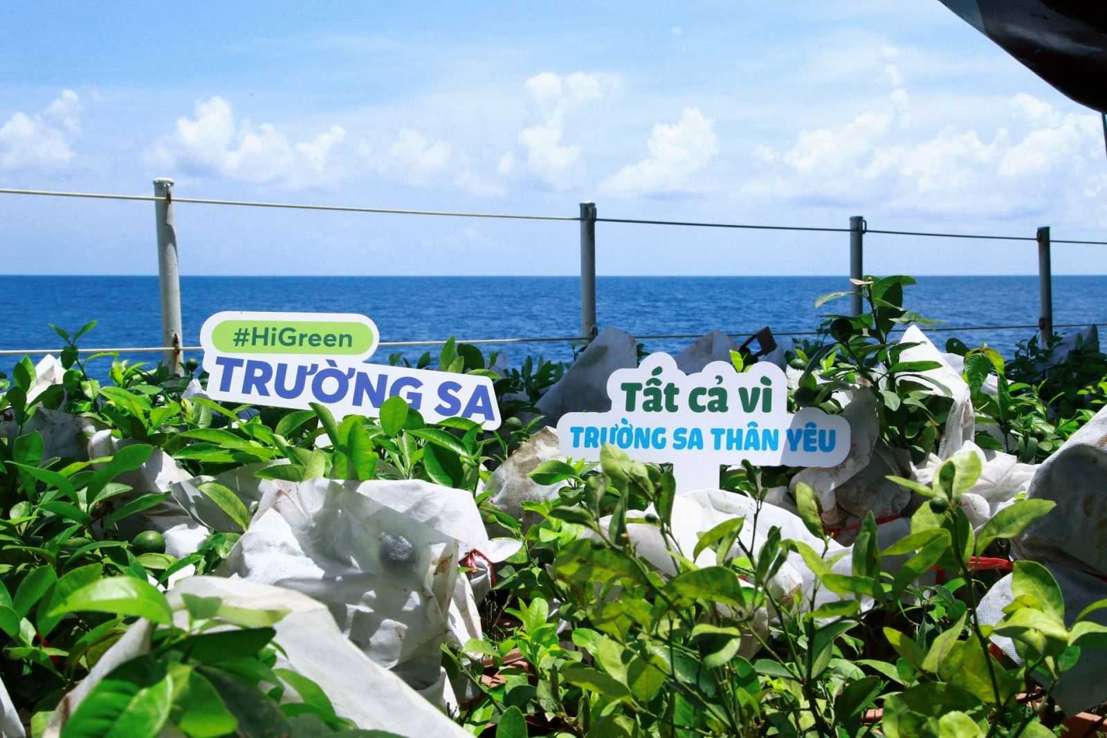 Một cây xanh ở Trường Sa không chỉ là cây